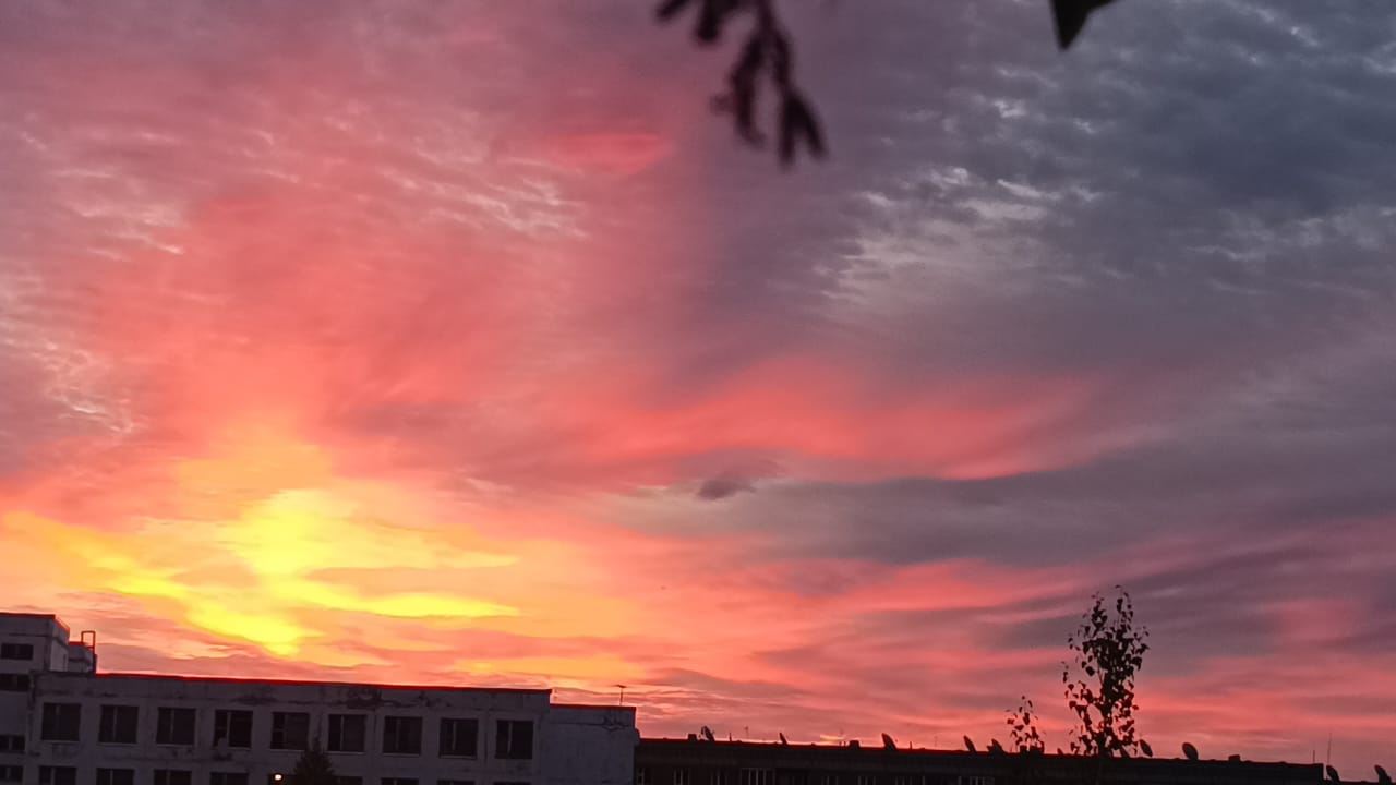 25. Второй год от начала. Финал 3