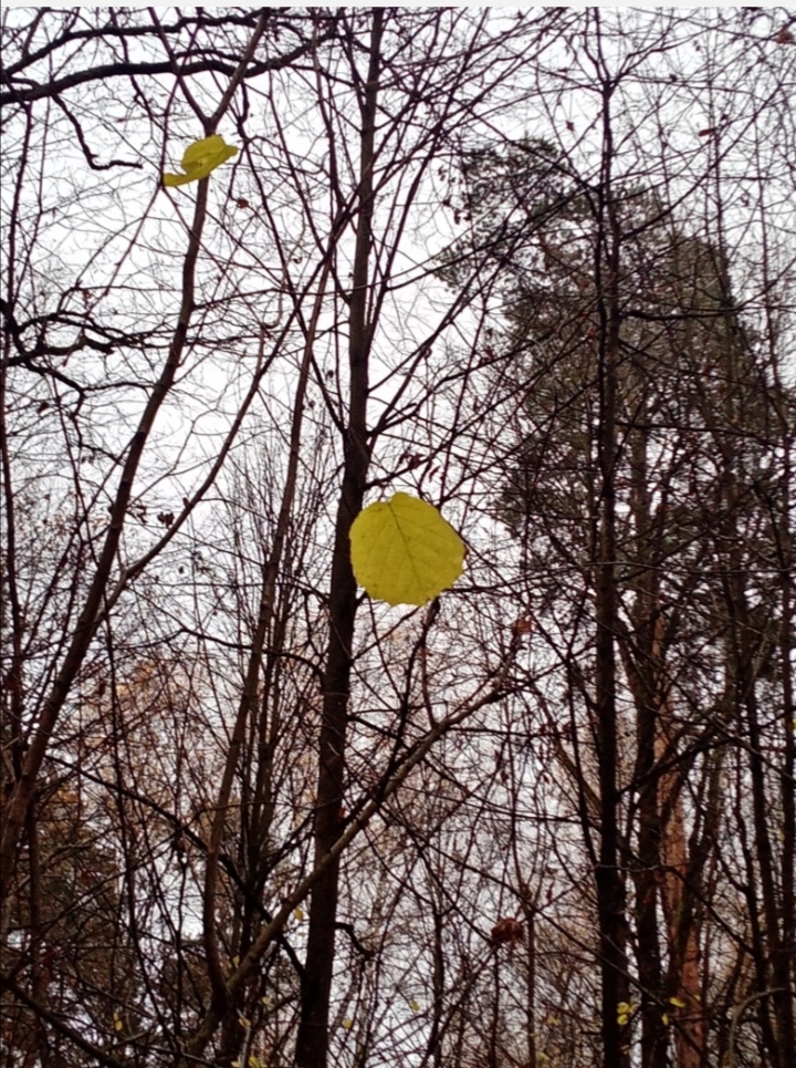 Люблю тебя, скучаю по тебе...