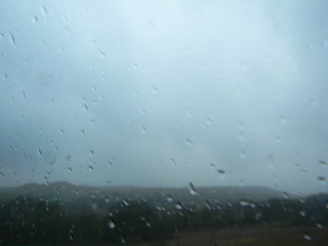 Под ливнями косыми