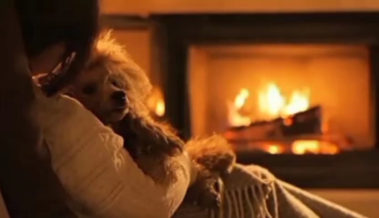 От суеты мирской моя душа устала