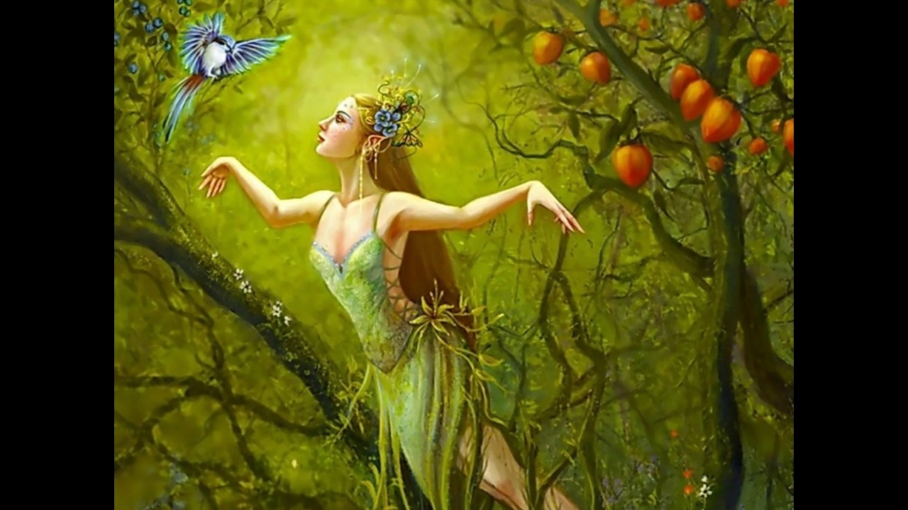 Шифоны туманов