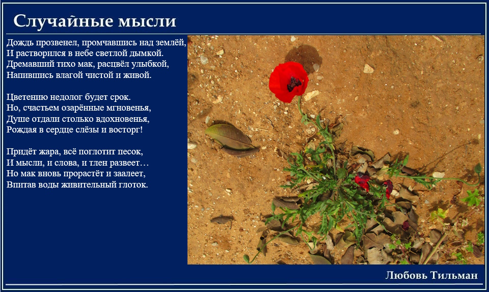 Дождь прозвенел