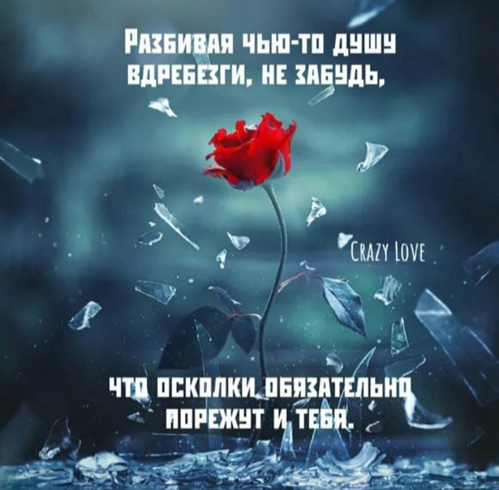 Мы ходим по-разбитому стеклу