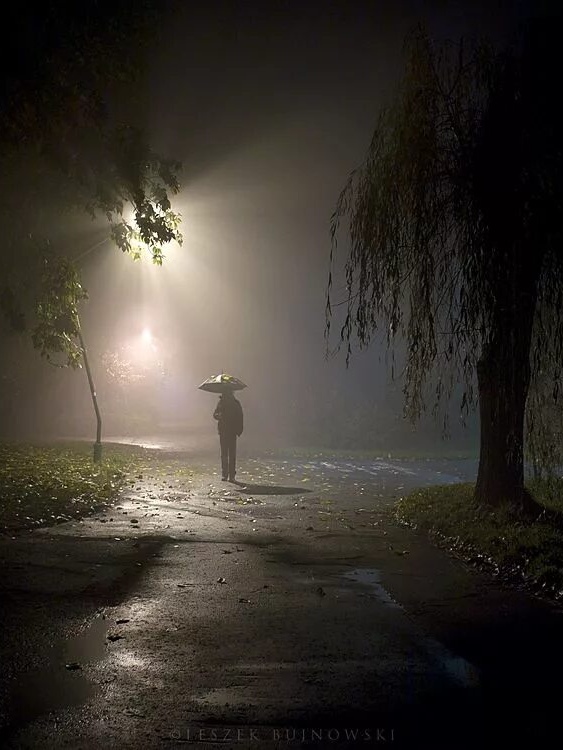 Грусть осени