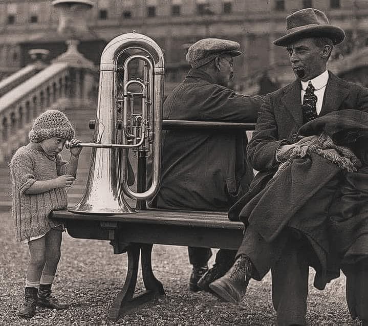 Девочки большие кошки