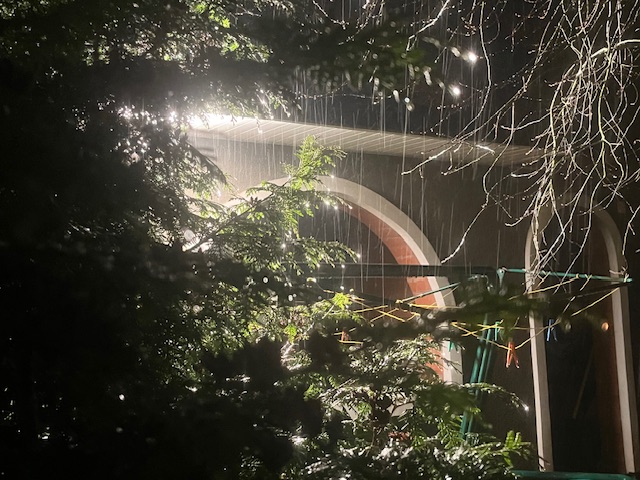 Еще не спит мой сад