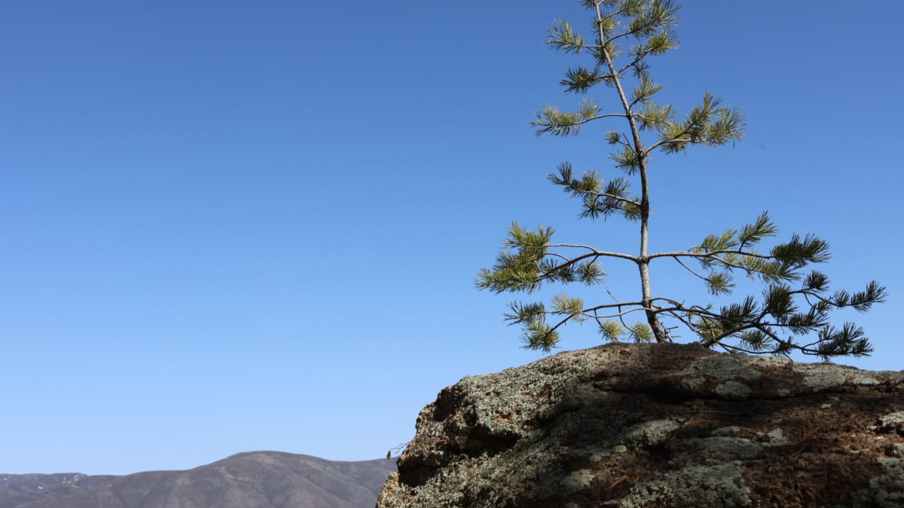 27. Рассуждения, выводы двадцати лет. Оправдание 2