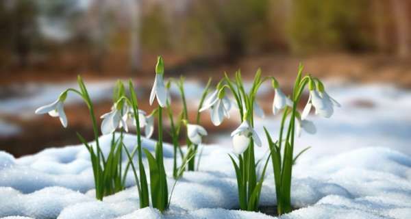 Времена года