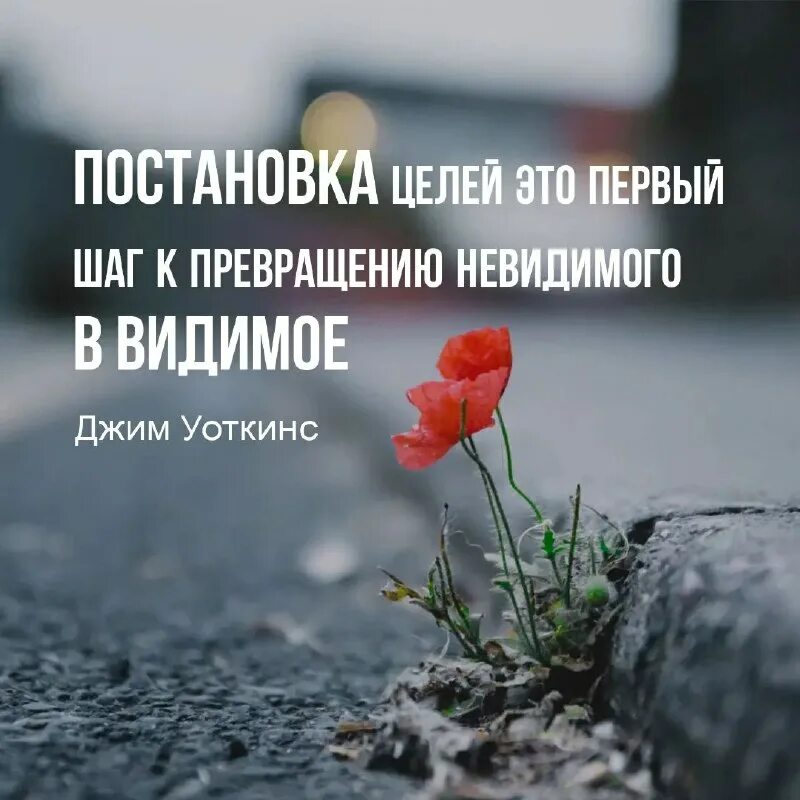 Мои мысли громче ваших слов