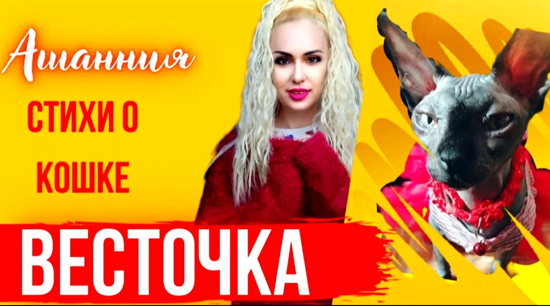 Посвящение кошке