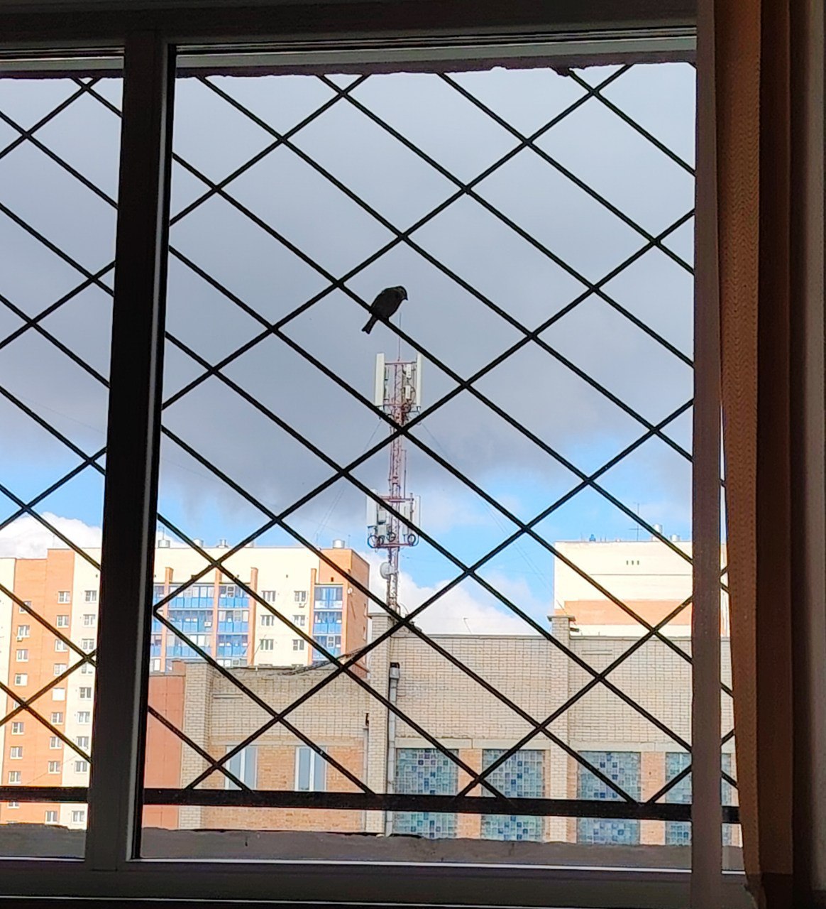 Он очень хотел летать!