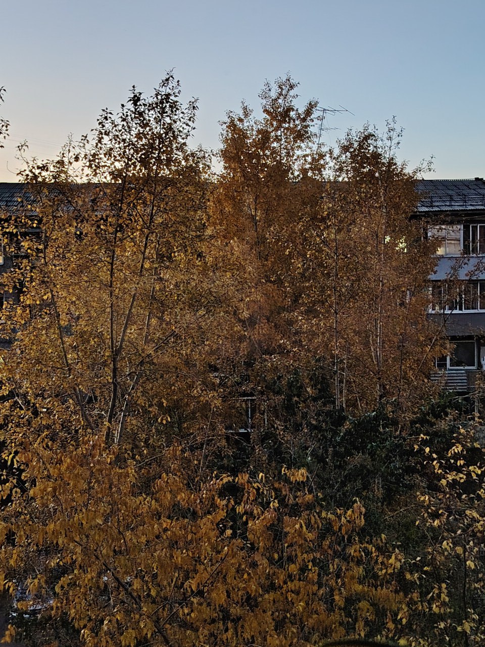 Ничего не видно