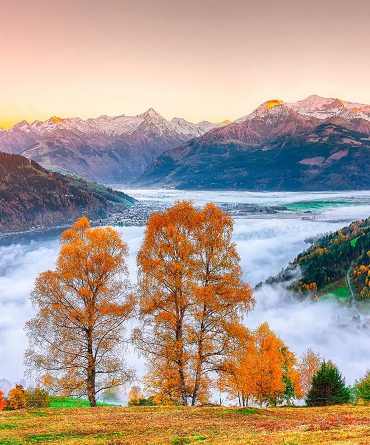 Здесь ноября отмечен ход