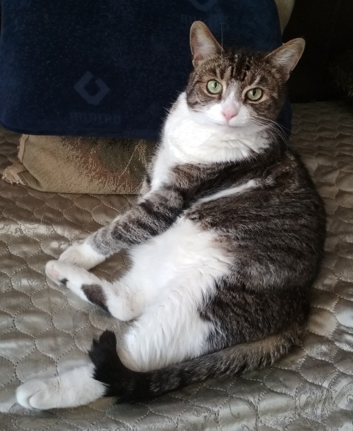 Принцесса на горошине