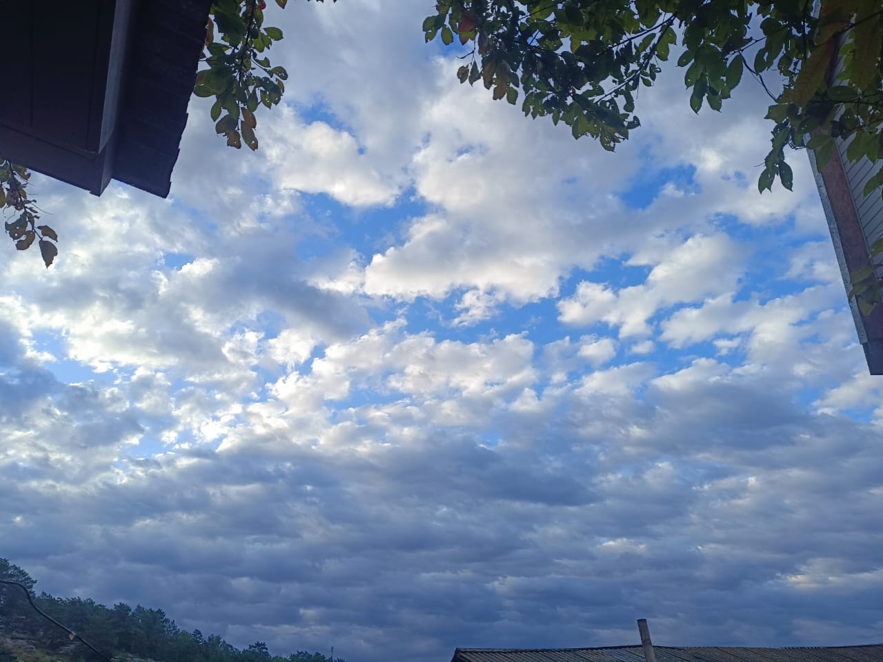 Без рифмы. 2