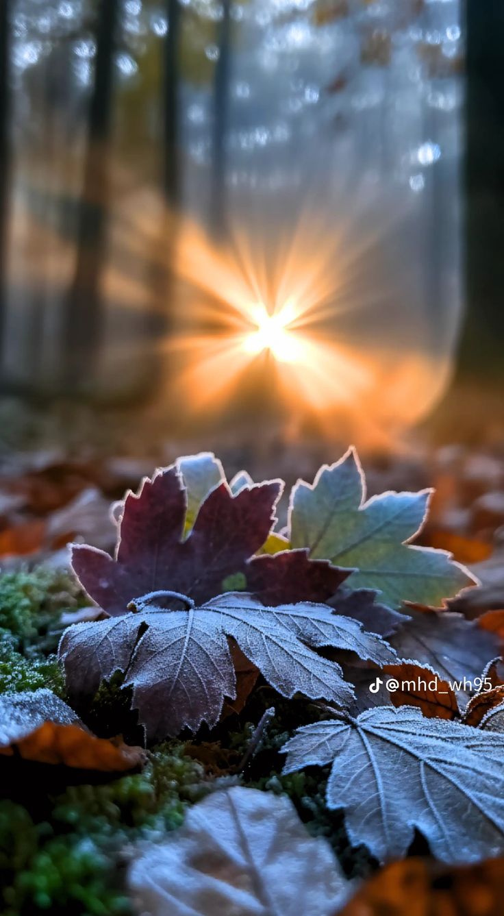 Не бойтесь смерти