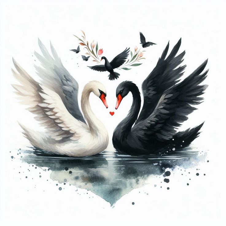 Белый и чёрный