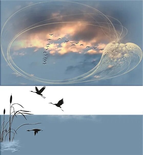 все, что есть и не есть