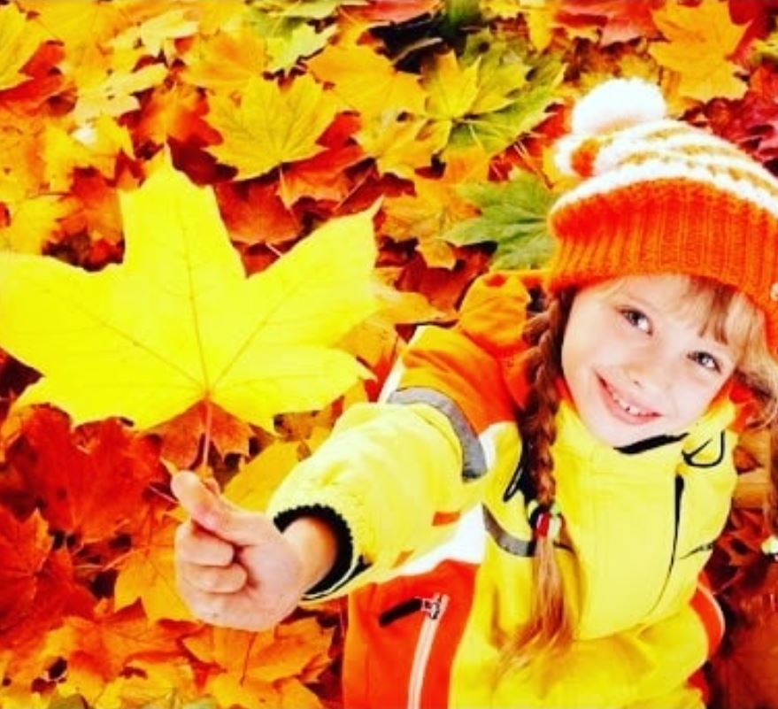 Осень, осень золотая