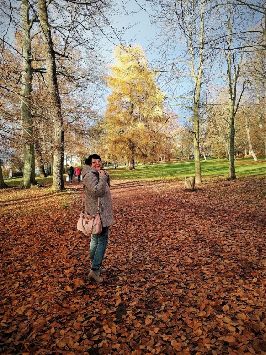 Прибытие на желанное место проекта