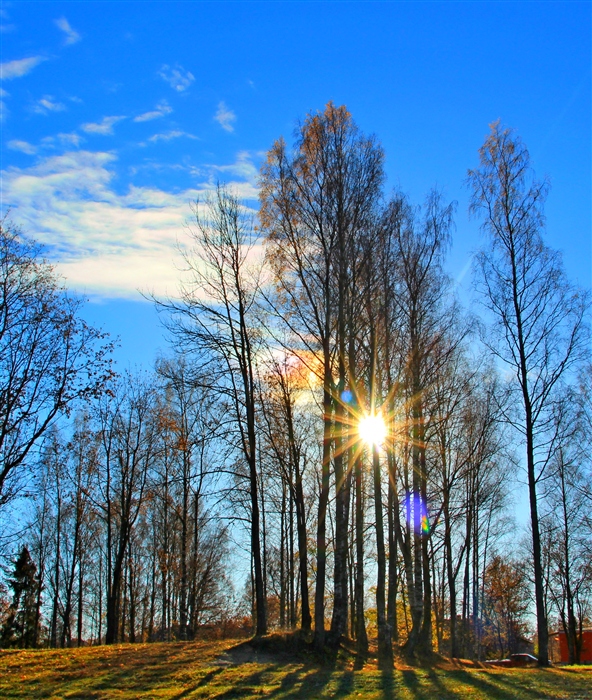 Сущий повод веселиться