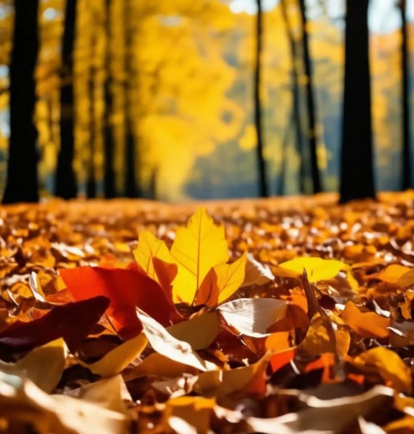 Летят лесты злотоголовые