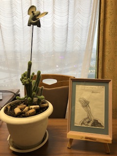 Василич, новые деловые предложения