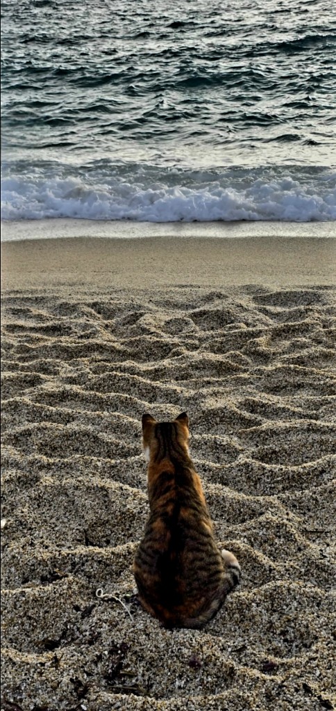 В море утопить...