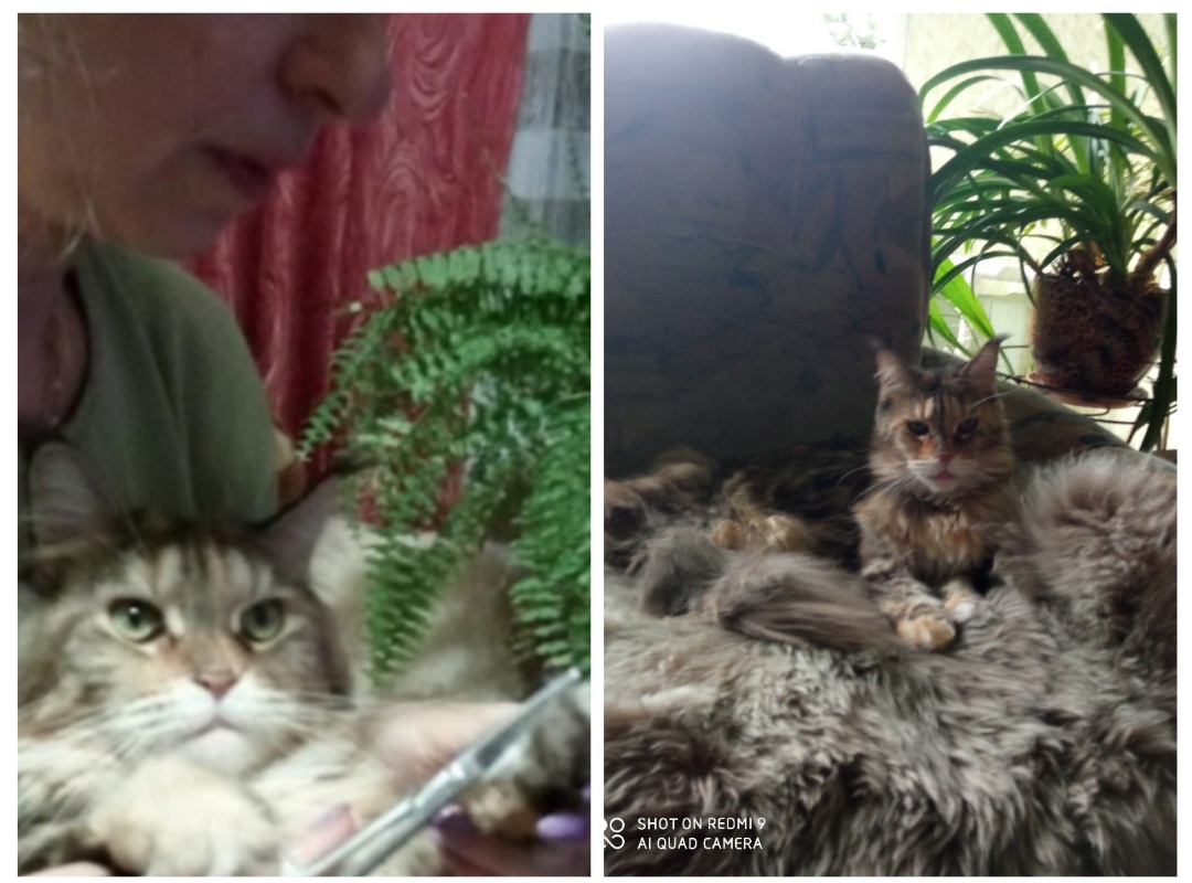 Не-е-е-е-е-е-е-т!!!