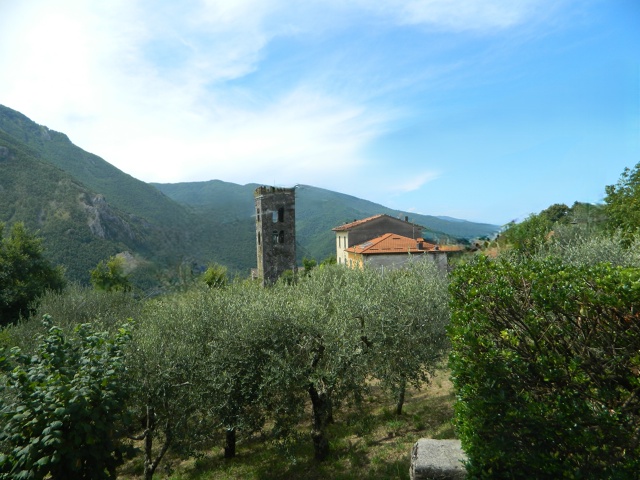 Загадка Вико Панчеллорум