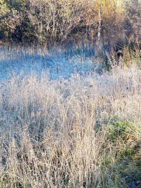 Остывает земля