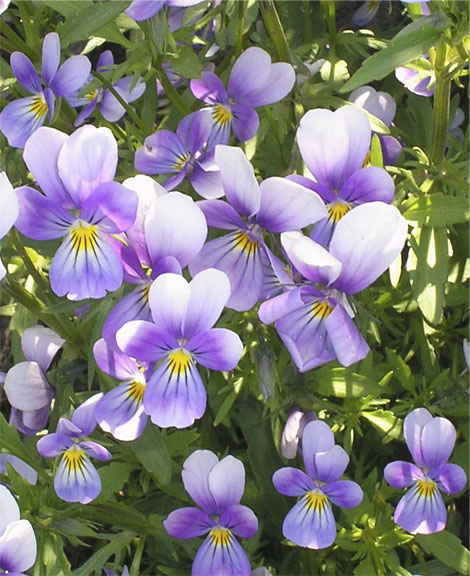 Ты постой, постой немножко