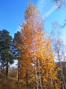 Маленькое осеннее путешествие