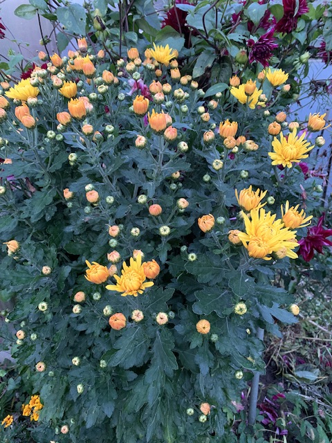 Бывает и так