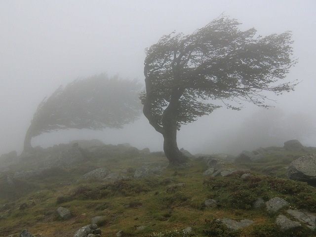 Мне кажется, не любила