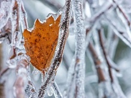 Зима на пороге