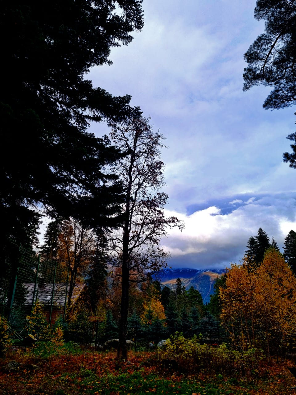 Влюбляюсь в осень