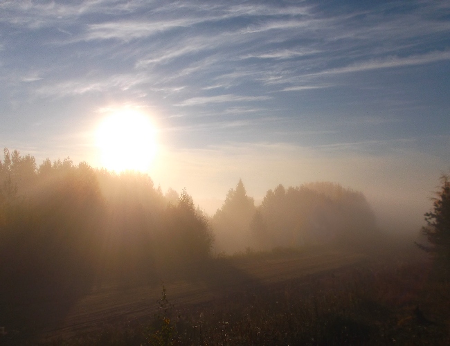 Как в ласкутном одеянии...