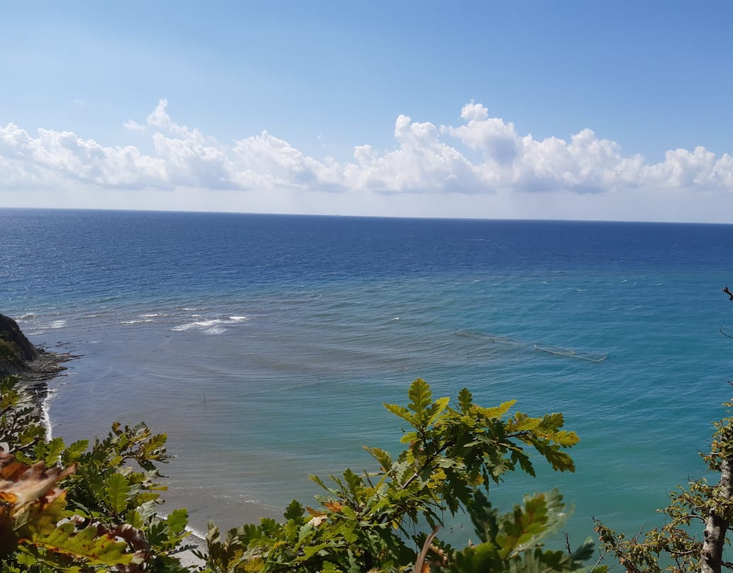 Ностальгия