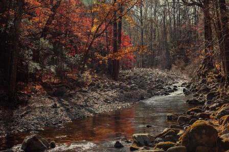 Осень стылая элегия