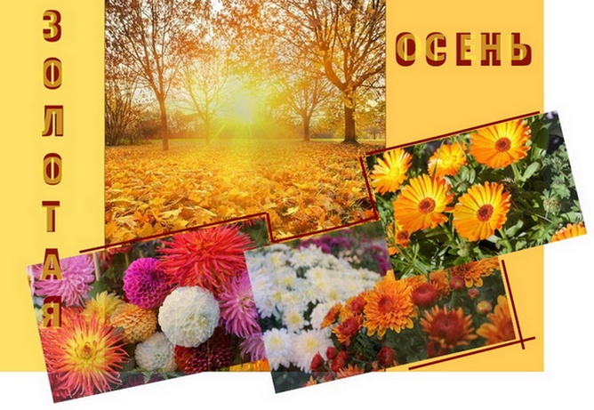 Золотая моя, золотая