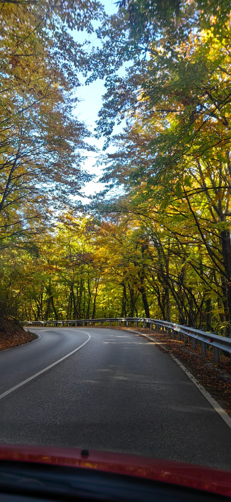 Листья в плен берут прохожих... - триолет