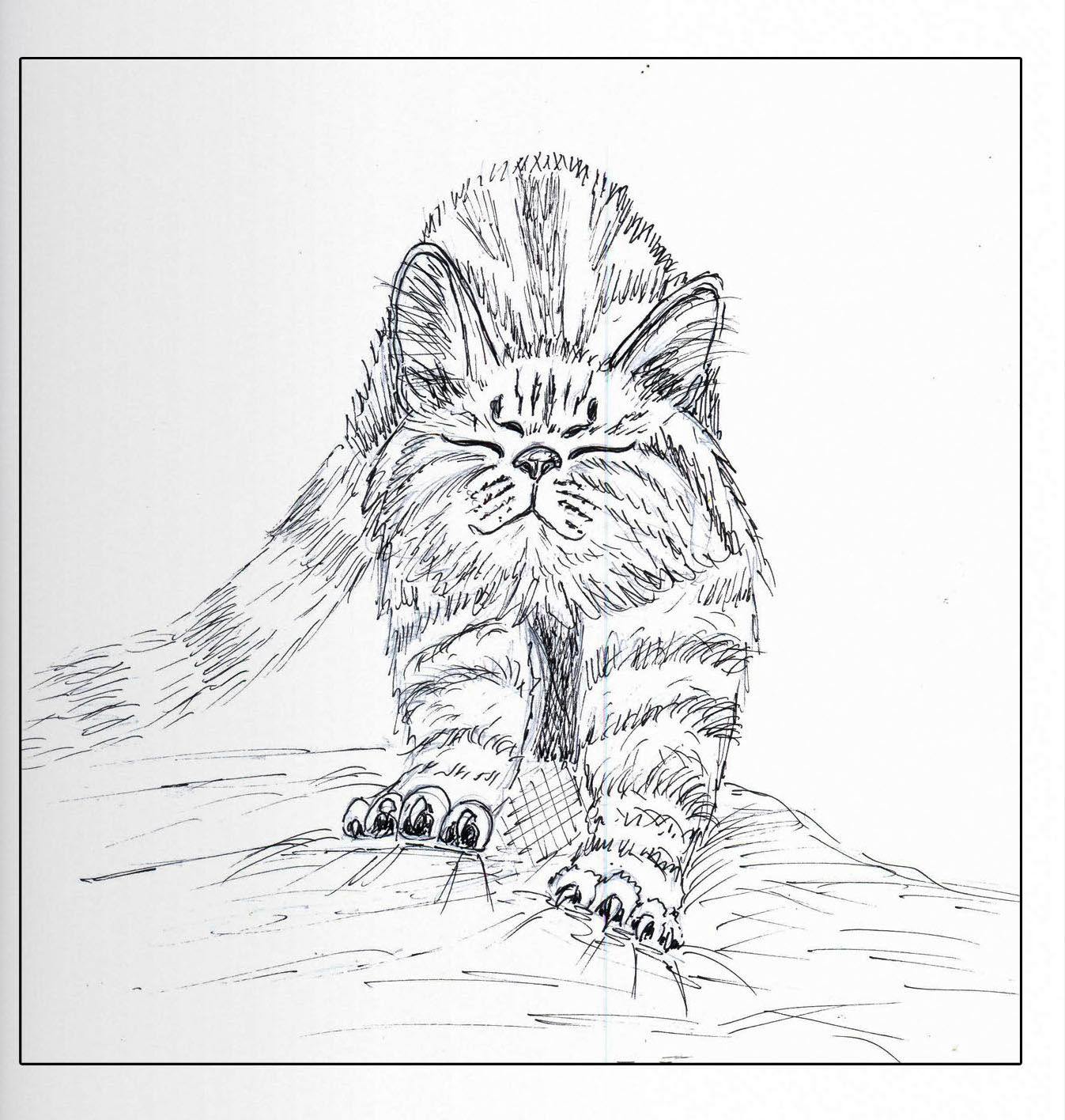 Нежные лапы