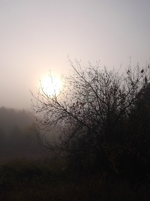 Много звёзд мерцают в небе...