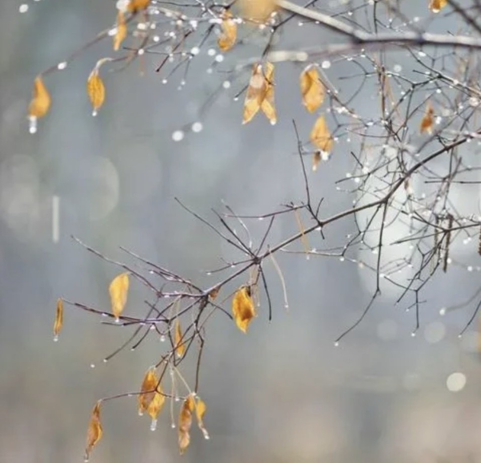 Межсезонье чувств