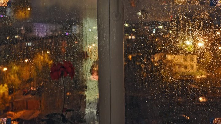 До ноября уже рукой подать