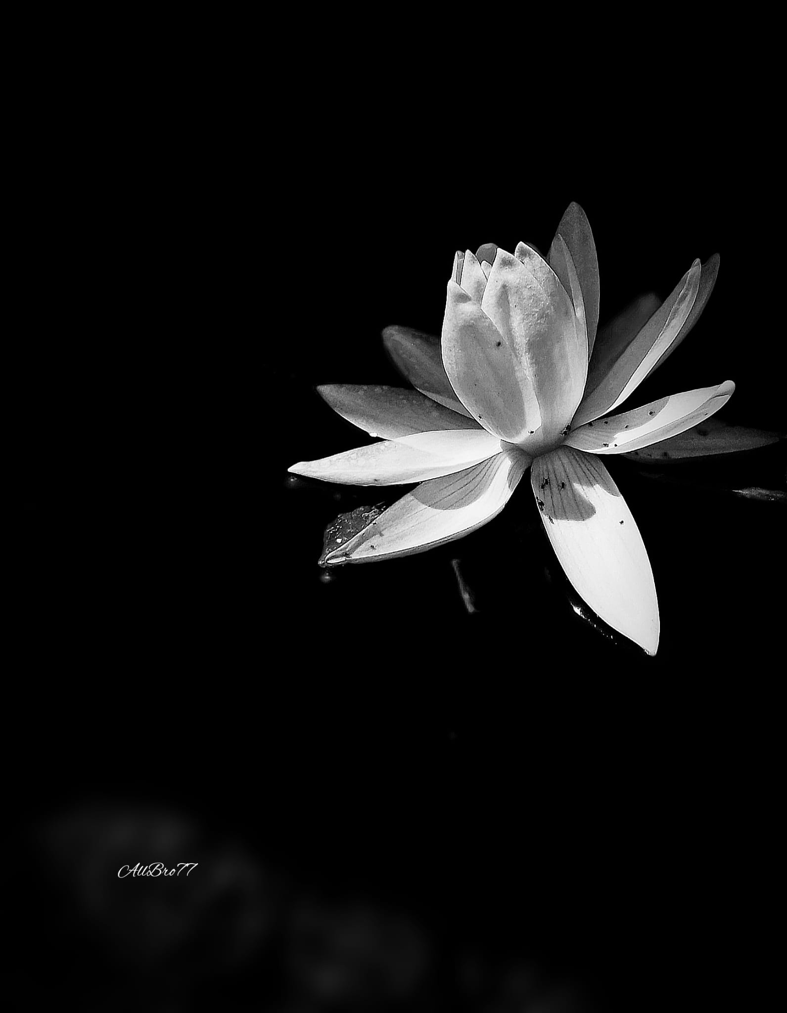 Мы Друг для Друга...