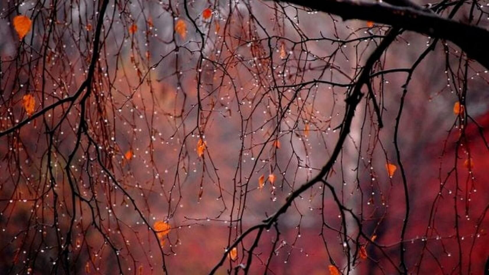 В моей осени ты гость нежданный