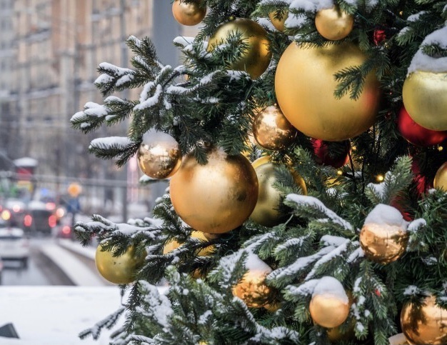 Выглянуло солнце из-за туч