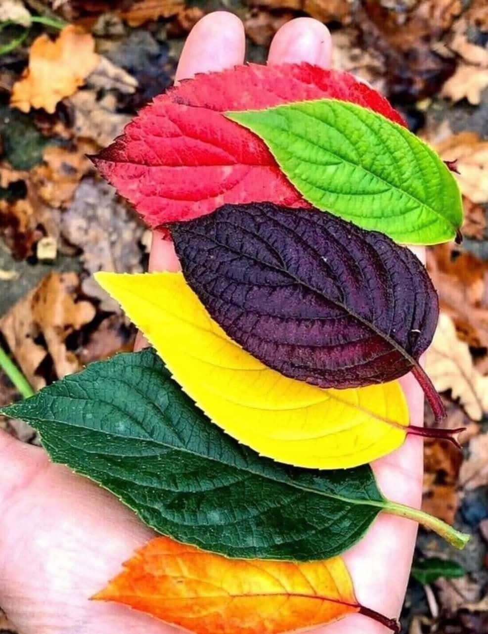 Отношения - это способ самопознания и развития